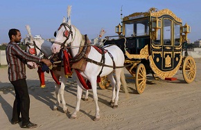 Horser-cart-tonga